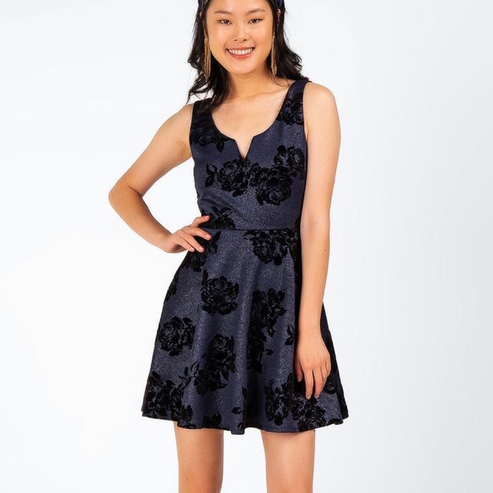 NWT Francesca’s Sparkly Flocked Floral Dress